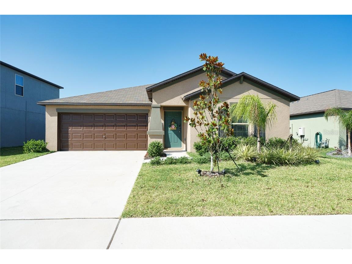10337 Scarlett Skimmer Drive Riverview FL 33578 U8199960 image1