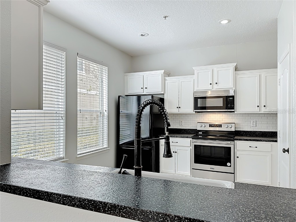 10338 Lake District Lane #S Orlando FL 32832 O6351612 image17