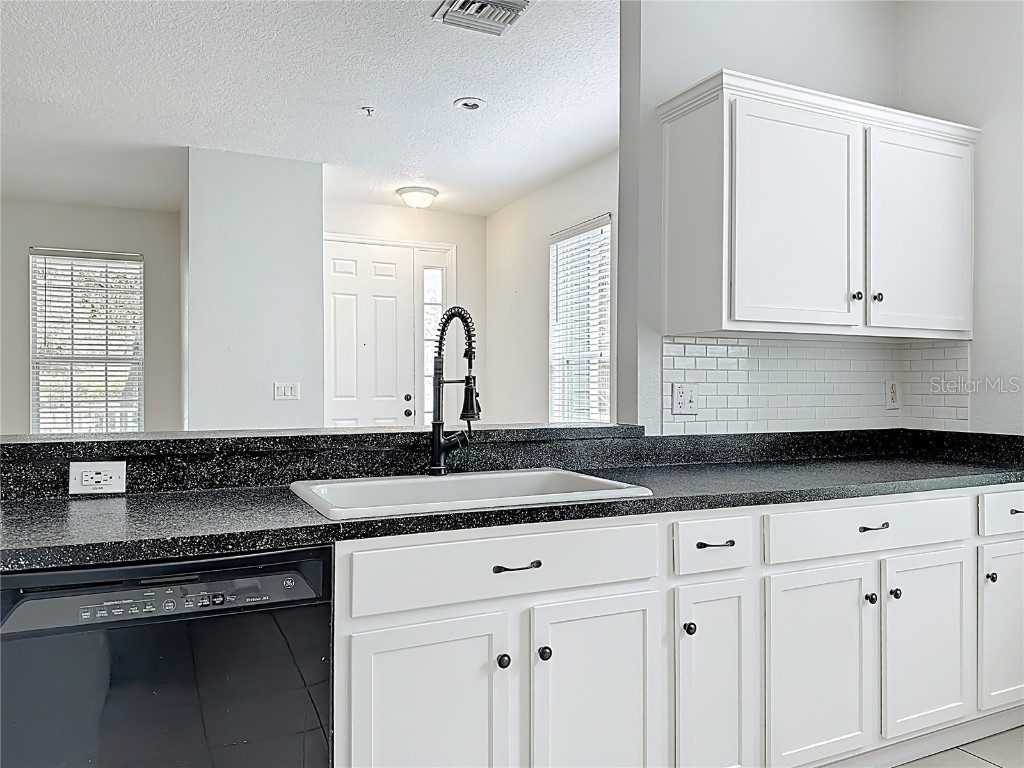 10338 Lake District Lane #S Orlando FL 32832 O6351612 image18