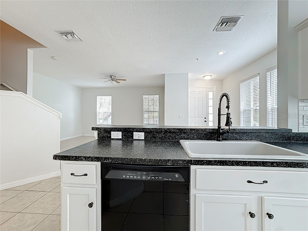 10338 Lake District Lane #S Orlando FL 32832 O6351612 image19