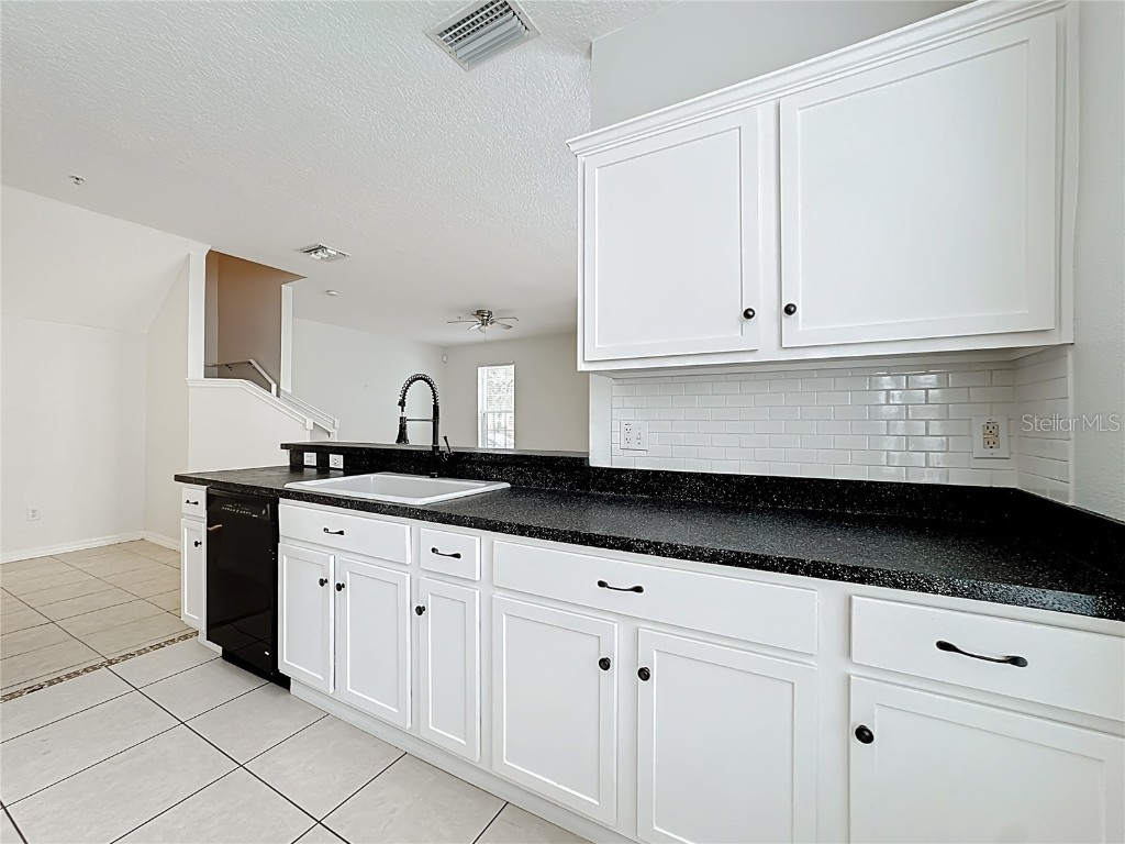 10338 Lake District Lane #S Orlando FL 32832 O6351612 image21