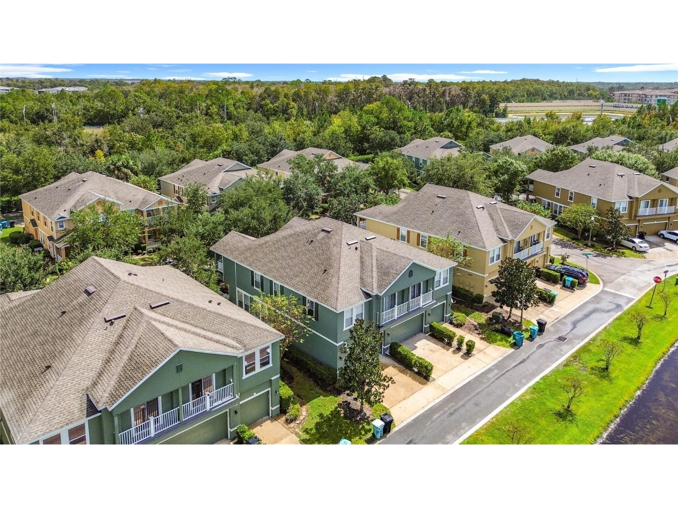 10338 Lake District Lane #S Orlando FL 32832 O6351612 image45