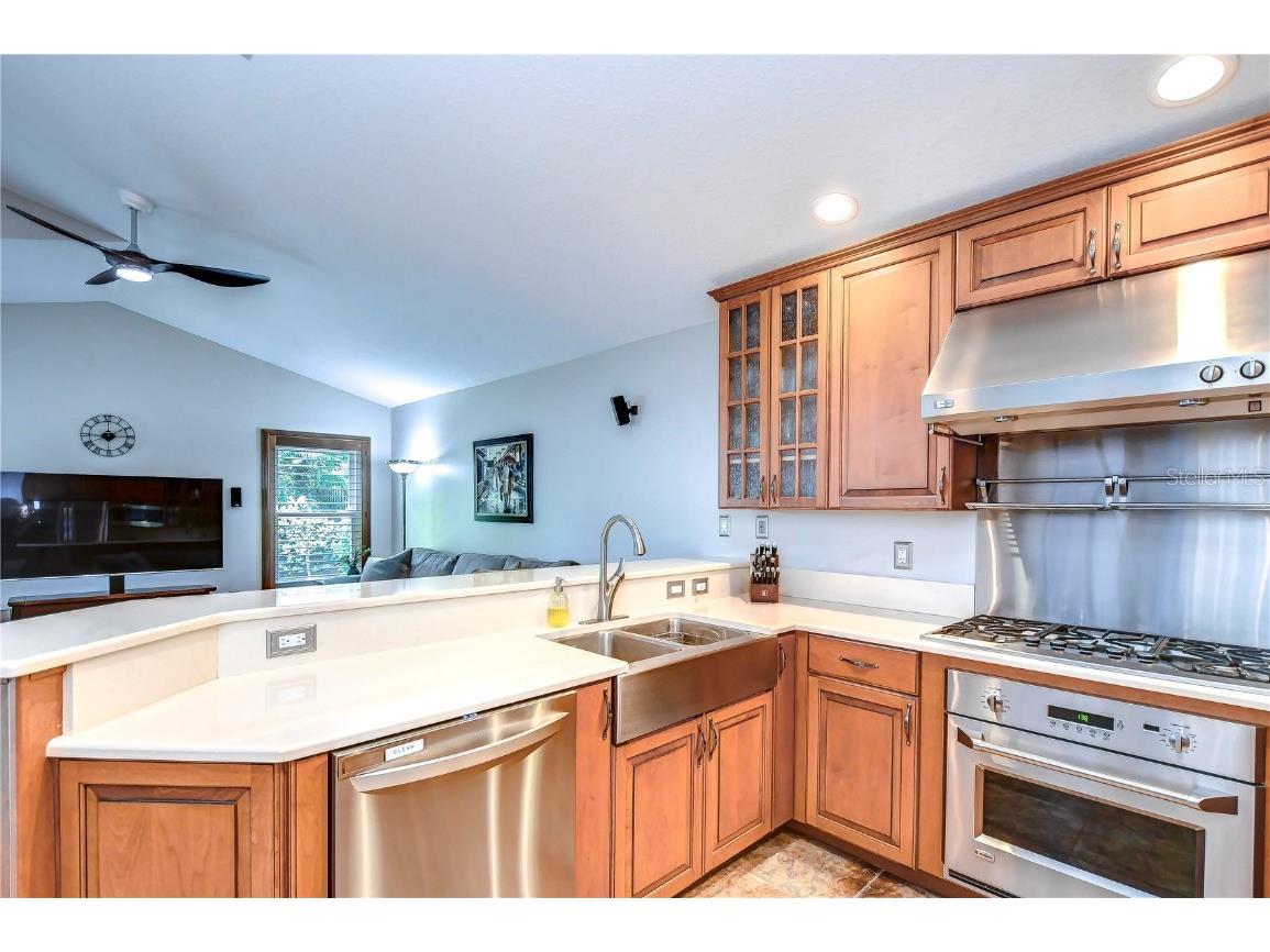 10338 Lightner Bridge Drive Tampa FL 33626 T3524170 image22