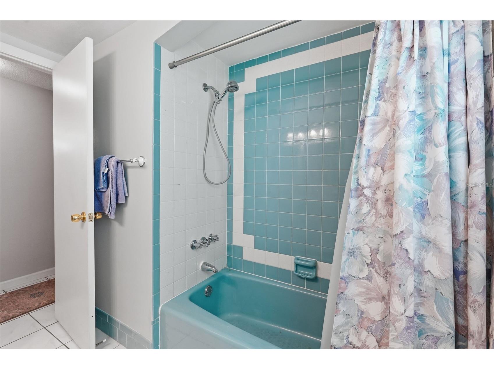 10339 Amadeus Drive Port Richey FL 34668 TB8511563 image22