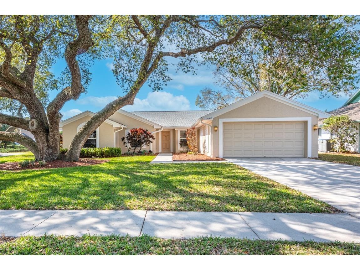 10339 Ashley Oaks Drive Riverview FL 33578 T3429090 image1