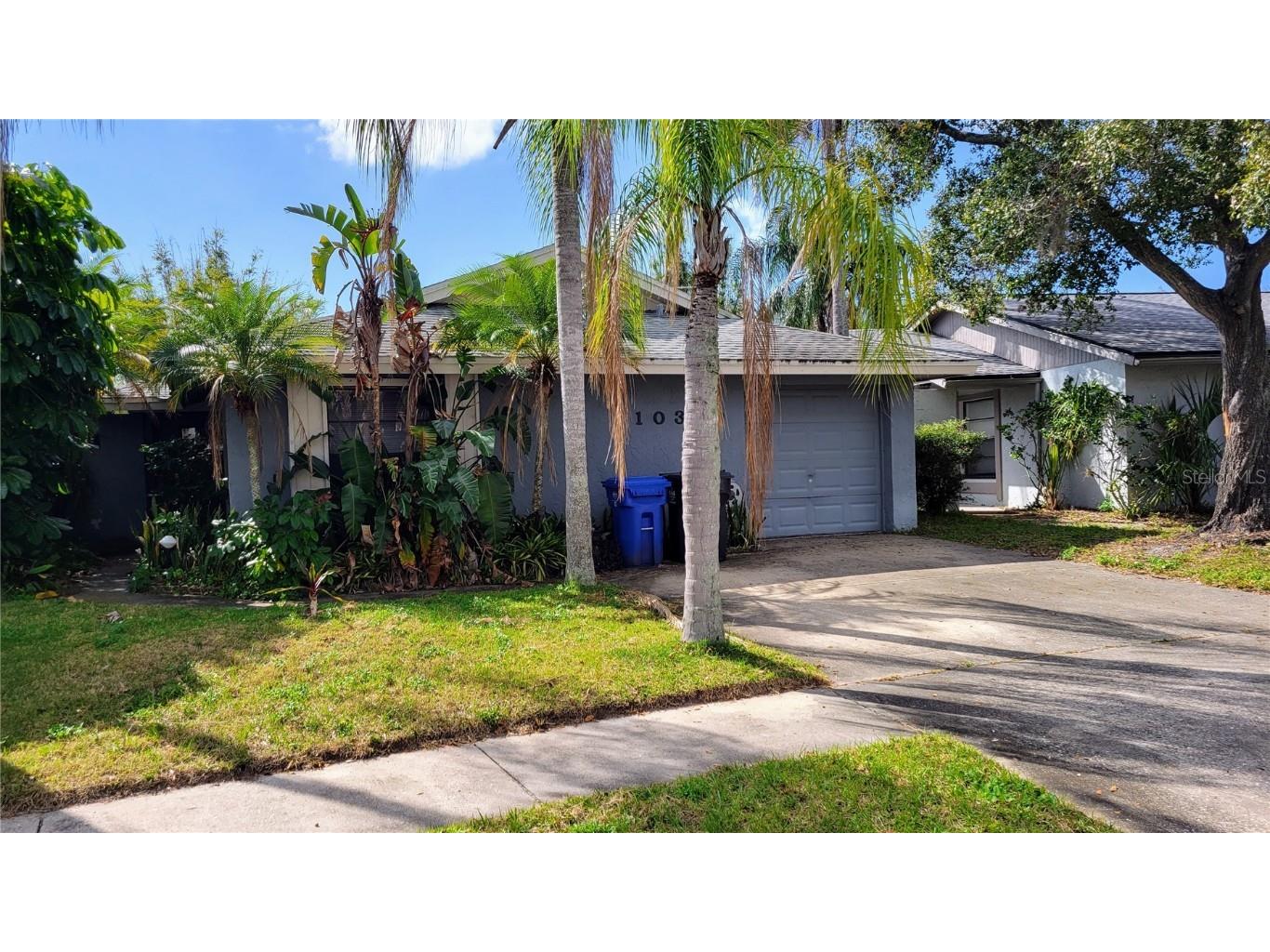 10339 Chadbourne Drive Tampa FL 33624 T3427601 image1