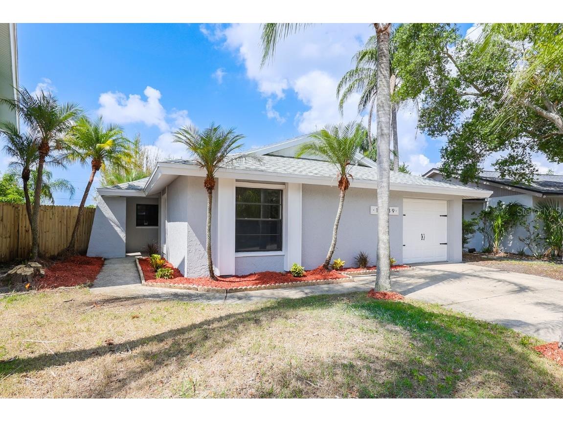 10339 Chadbourne Drive Tampa FL 33624 T3447506 image1