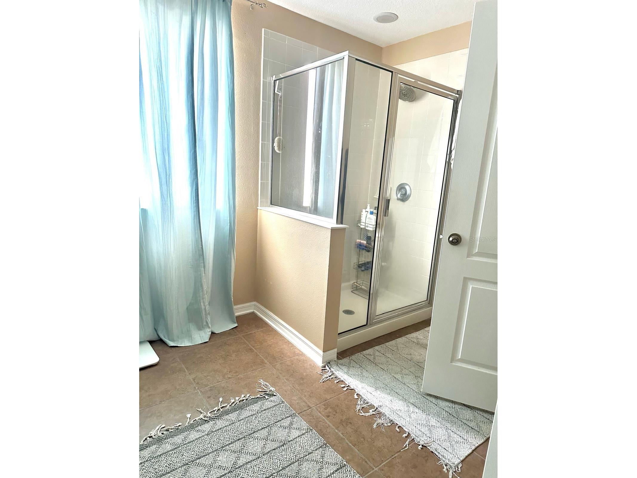 1034 Bella Vida Boulevard Orlando FL 32828 S5147598 image23