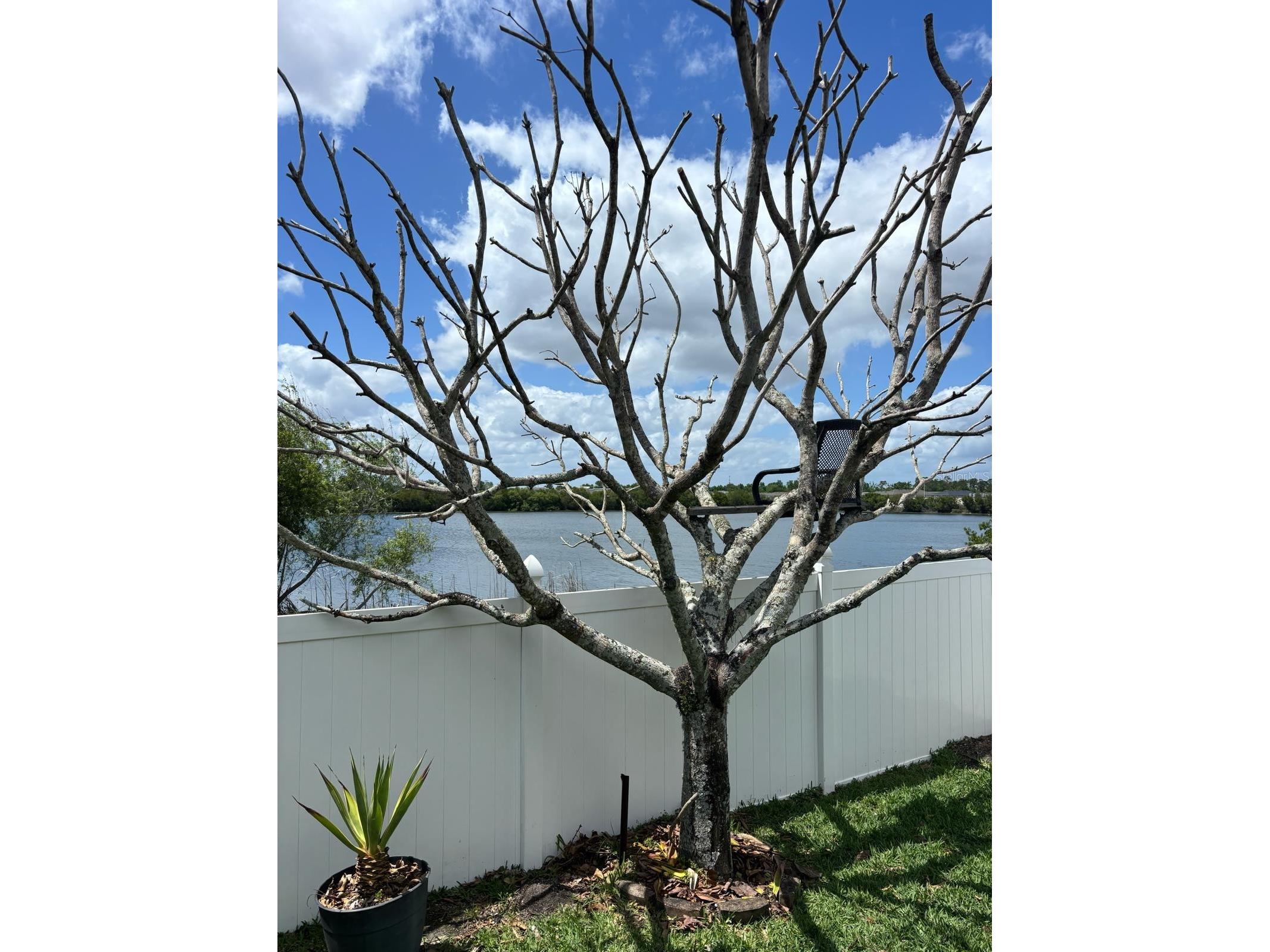 1034 Bella Vida Boulevard Orlando FL 32828 S5147598 image47