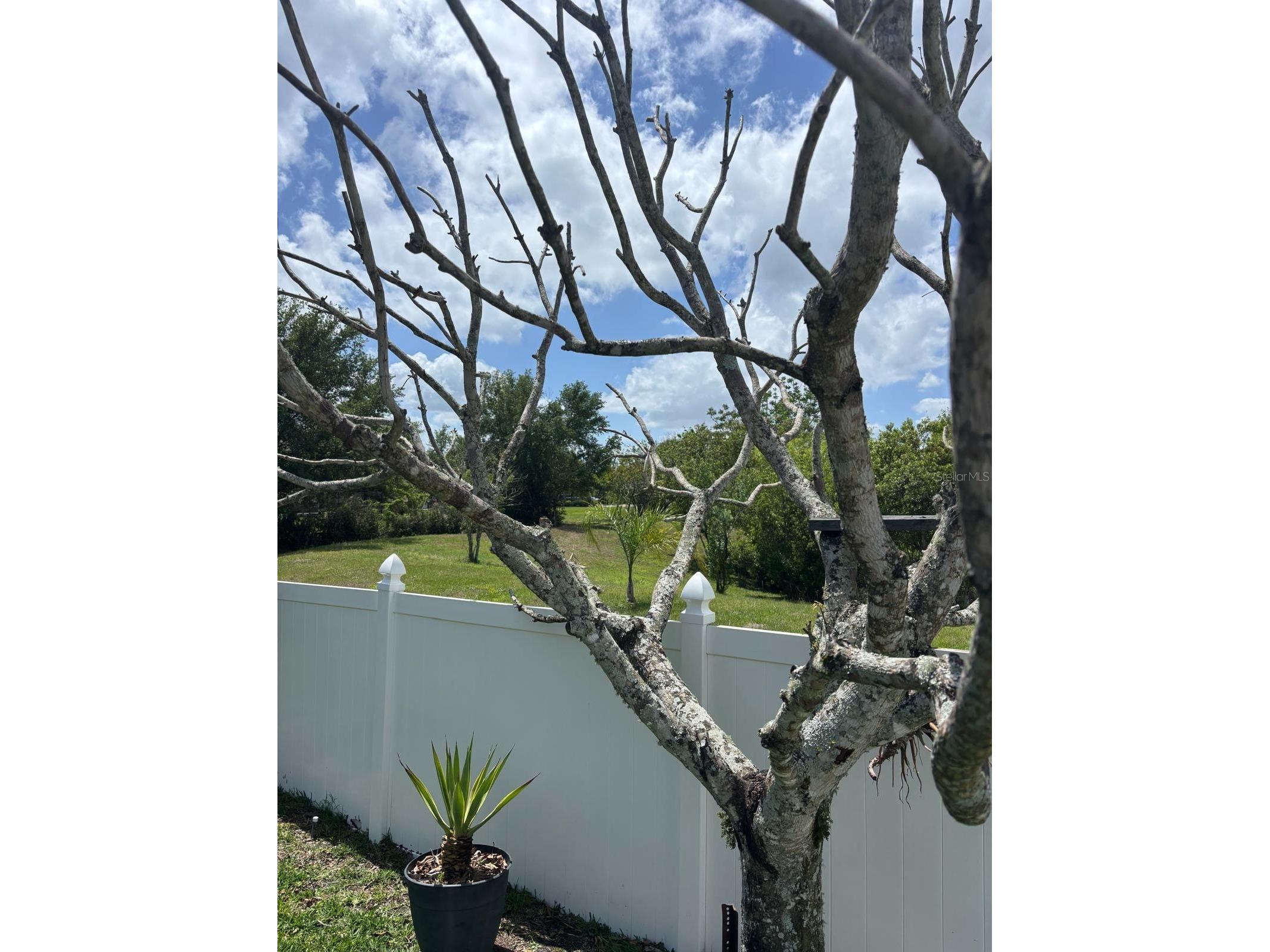 1034 Bella Vida Boulevard Orlando FL 32828 S5147598 image48