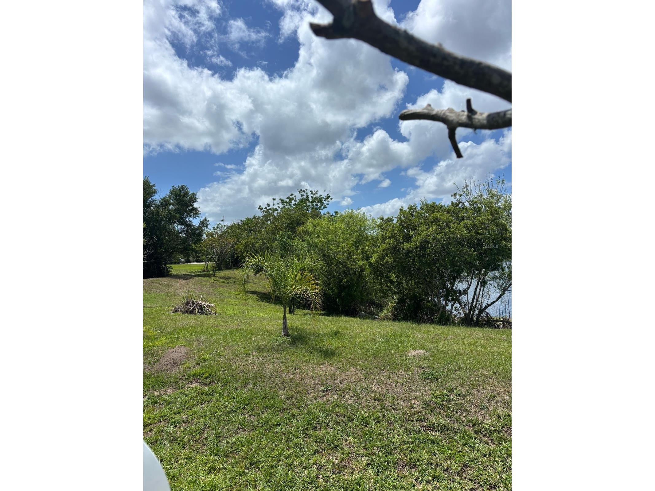 1034 Bella Vida Boulevard Orlando FL 32828 S5147598 image49