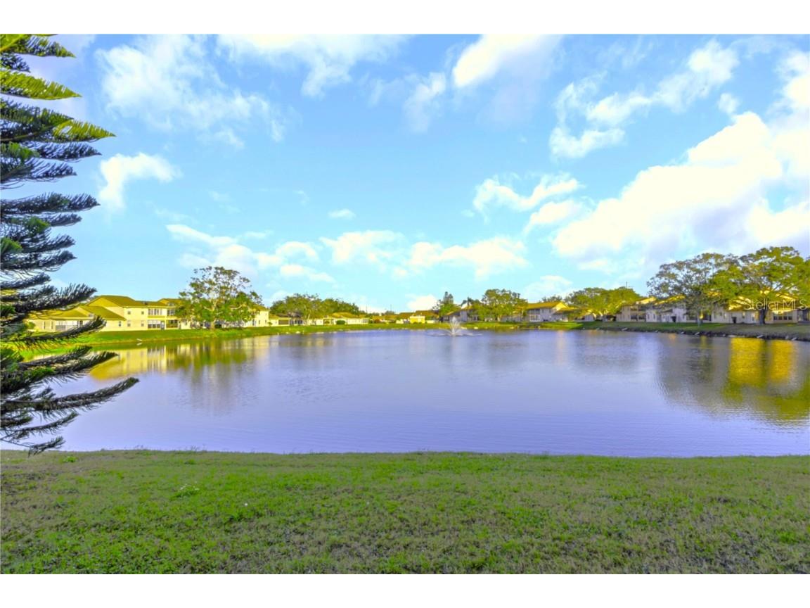 1034 Bowsprit Lane Holiday FL 34691 TB8326966 image5