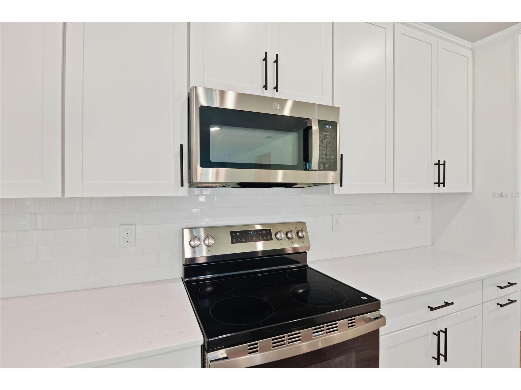 1034 Cloud Ridge Court Mount Dora FL 32757 S5149181 image12
