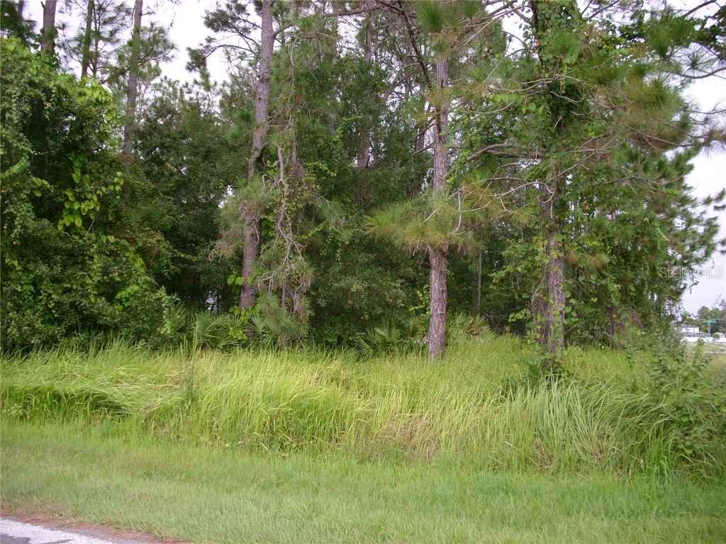 1034 Embrun Court Kissimmee FL 34759 S5092008 image1