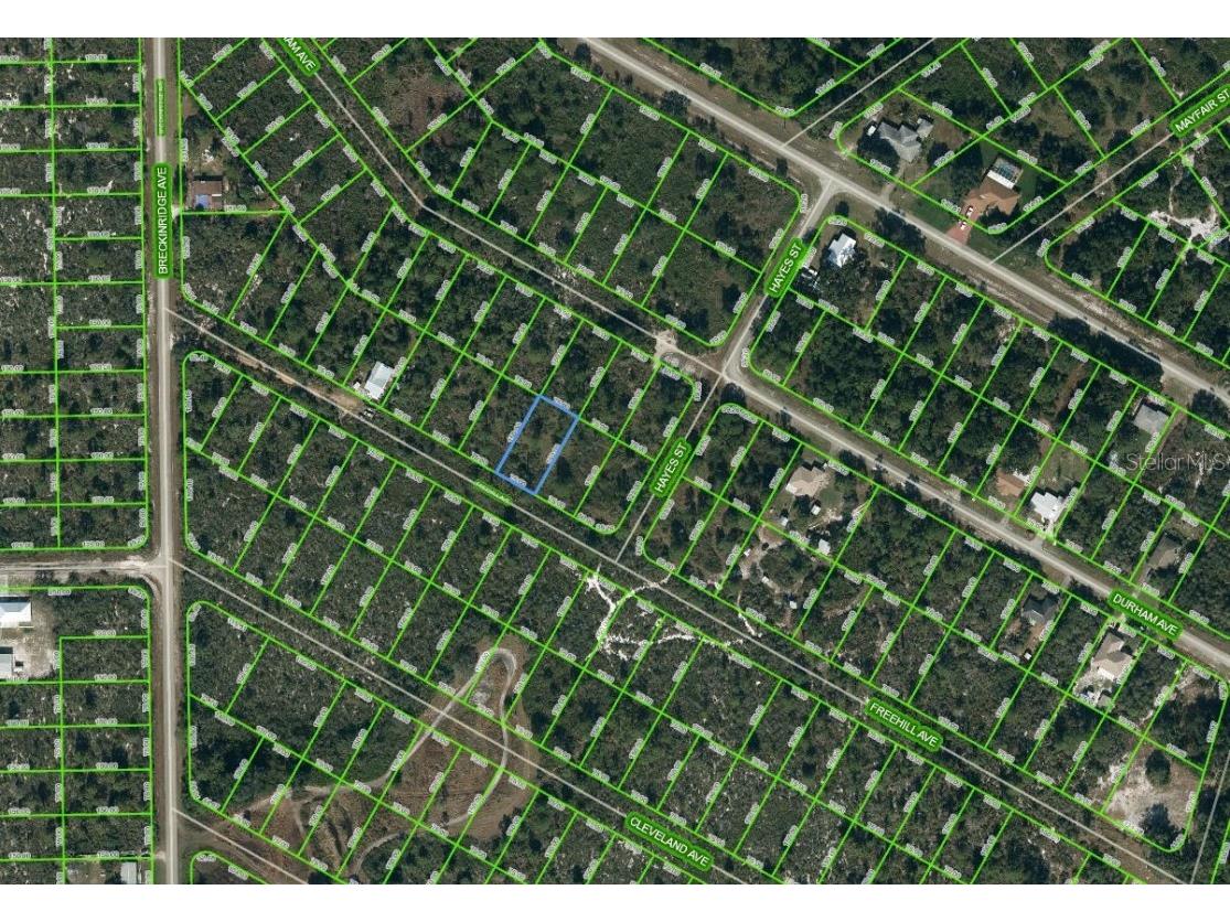 1034 Freehill Avenue Lake Placid FL 33852 OM625222 image1