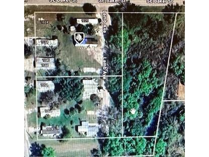 1034 SE 9th Avenue Arcadia FL 34266 C7507466 image1