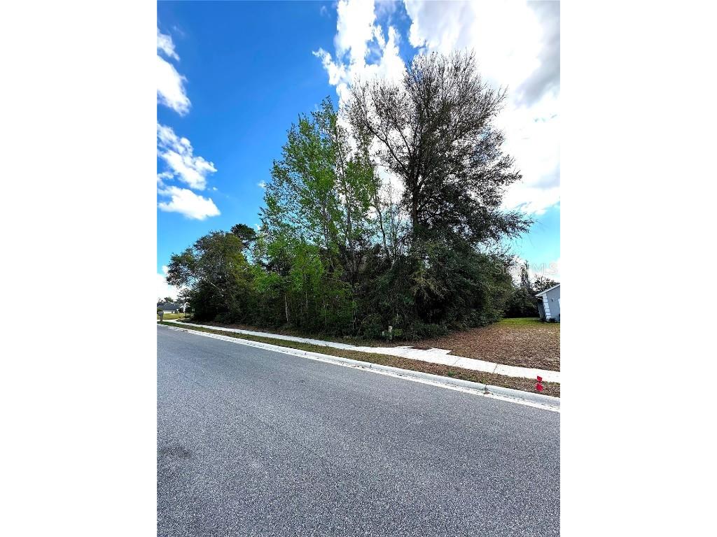 1034 W Seagate Drive Deltona FL 32725 OK224985 image1