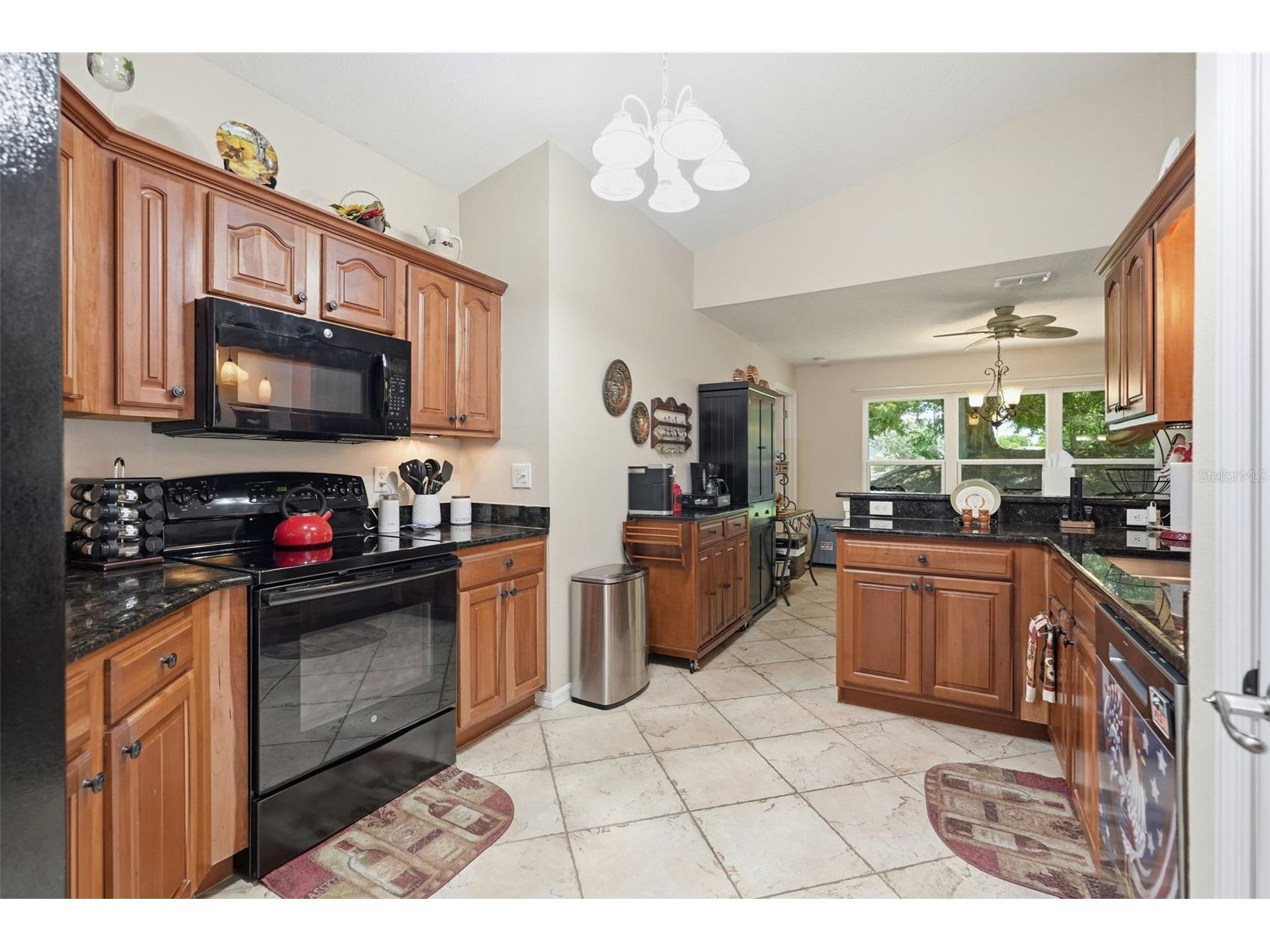 10340 Buncombe Way San Antonio FL 33576 TB8519960 image19