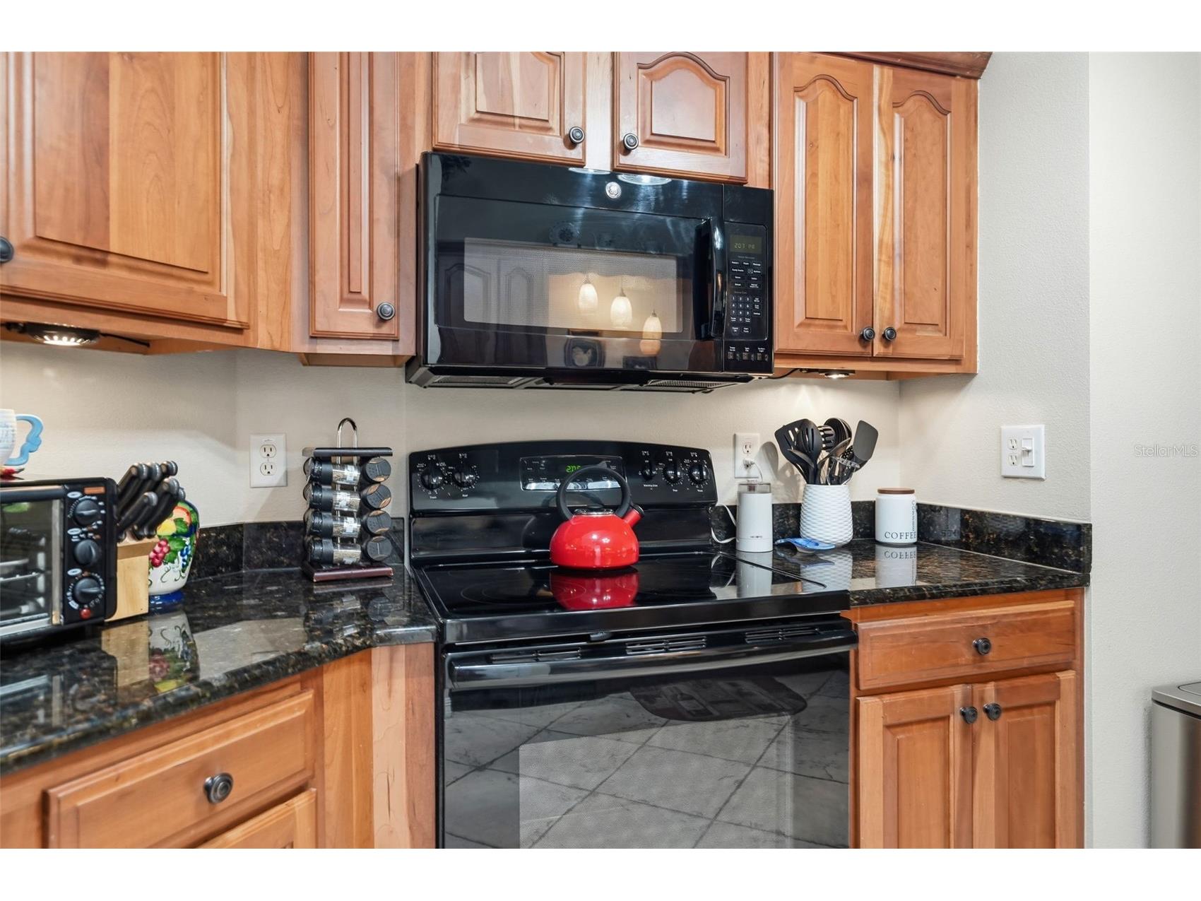 10340 Buncombe Way San Antonio FL 33576 TB8519960 image20