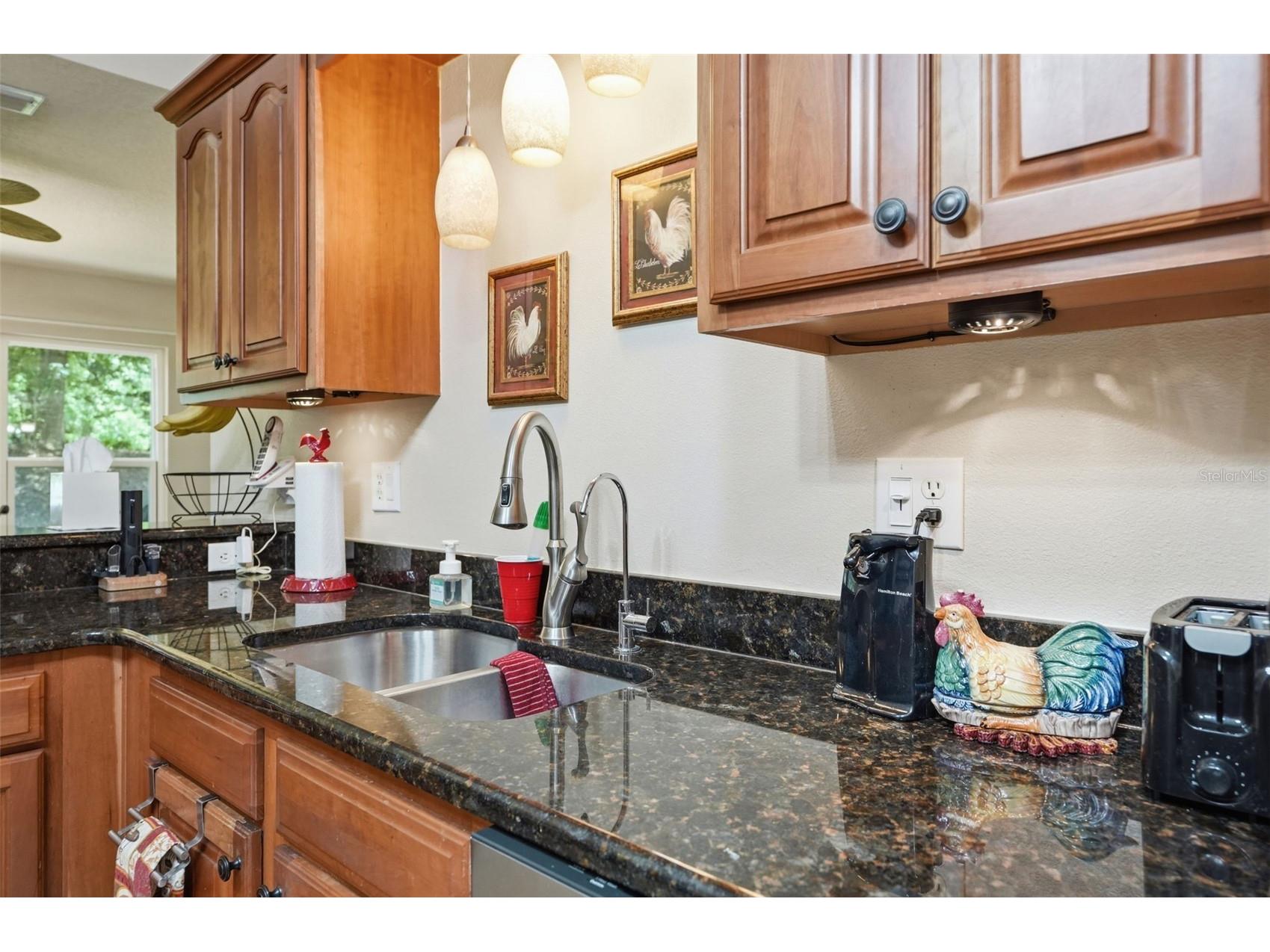 10340 Buncombe Way San Antonio FL 33576 TB8519960 image21