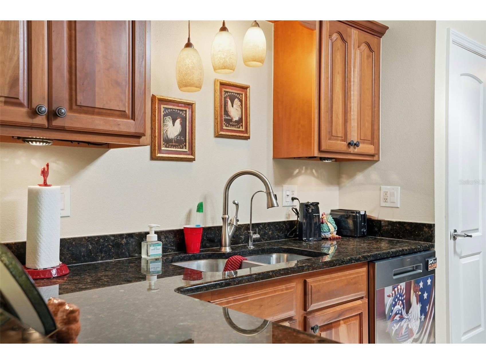 10340 Buncombe Way San Antonio FL 33576 TB8519960 image23