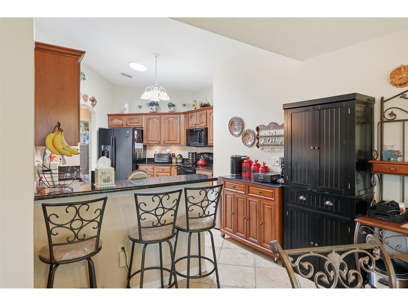 10340 Buncombe Way San Antonio FL 33576 TB8519960 image25