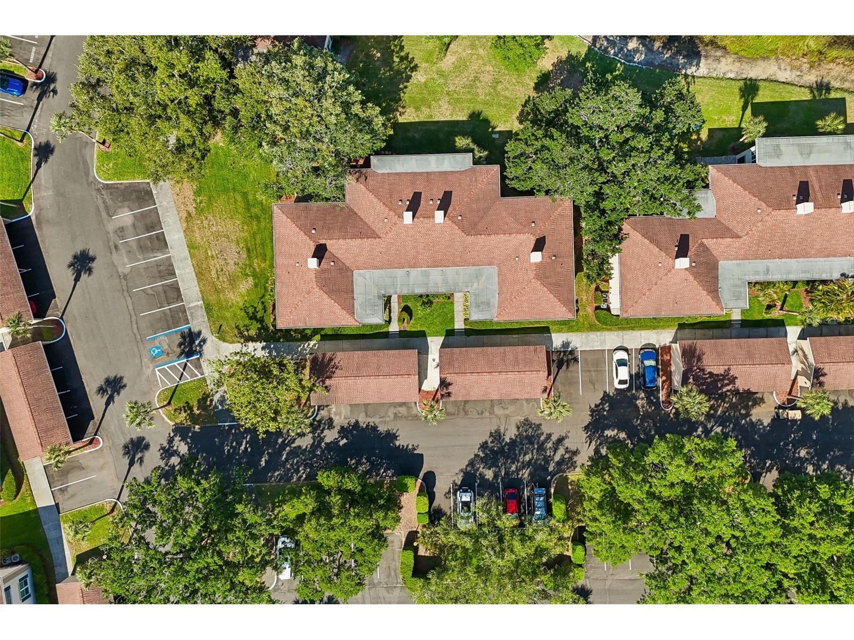 10340 Carrollwood Lane #163 Tampa FL 33618 TB8500540 image31