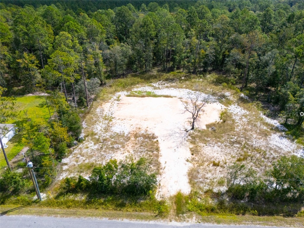 10340 Isaacson Avenue Hastings FL 32145 FC312963 image1