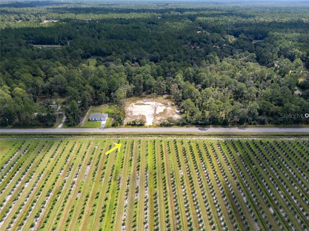 10340 Isaacson Avenue Hastings FL 32145 FC312963 image10