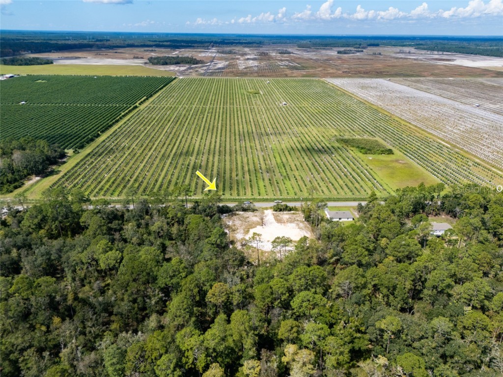 10340 Isaacson Avenue Hastings FL 32145 FC312963 image11