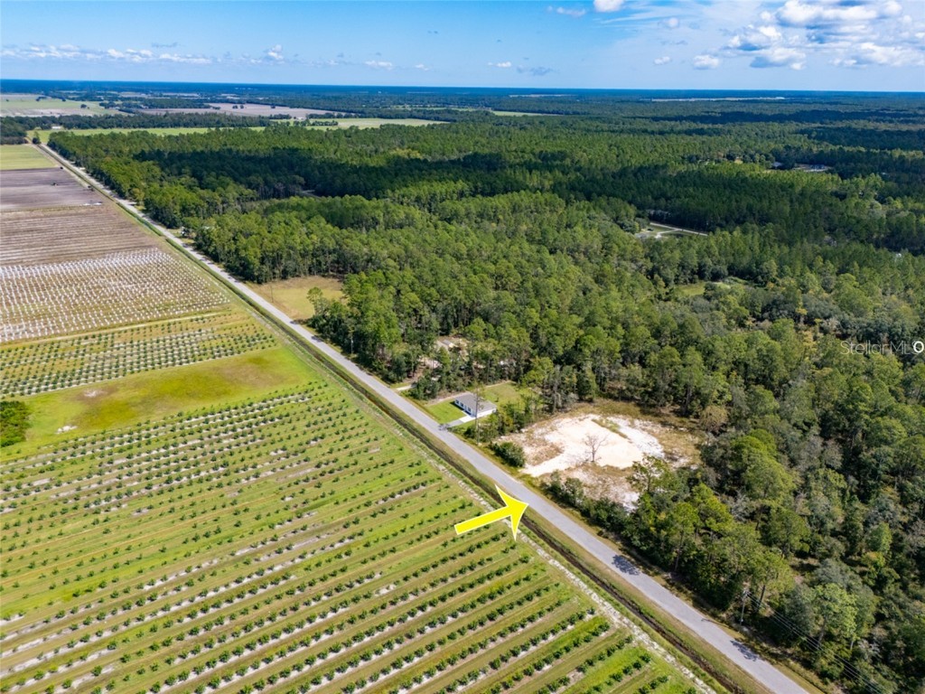 10340 Isaacson Avenue Hastings FL 32145 FC312963 image12