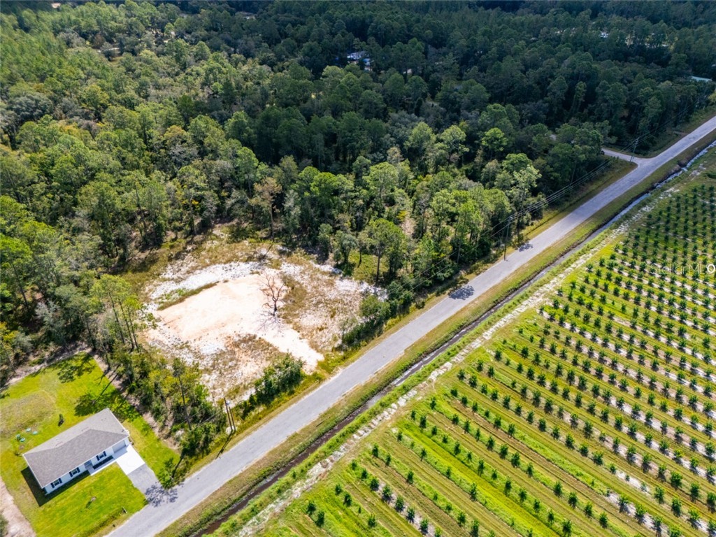 10340 Isaacson Avenue Hastings FL 32145 FC312963 image13