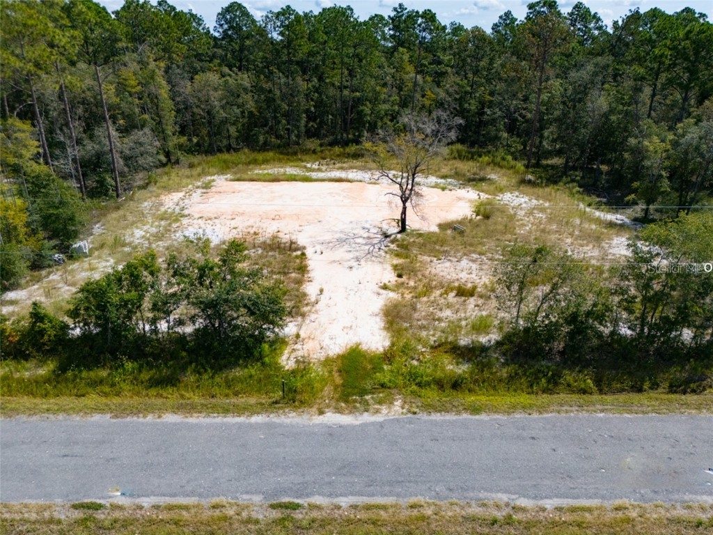 10340 Isaacson Avenue Hastings FL 32145 FC312963 image14