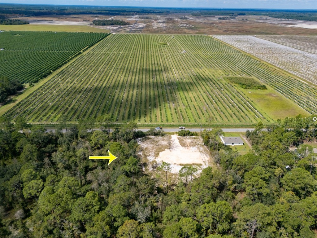 10340 Isaacson Avenue Hastings FL 32145 FC312963 image2