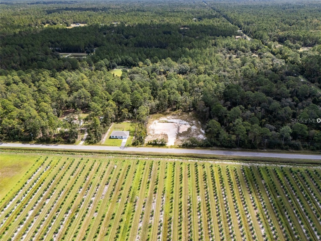 10340 Isaacson Avenue Hastings FL 32145 FC312963 image3