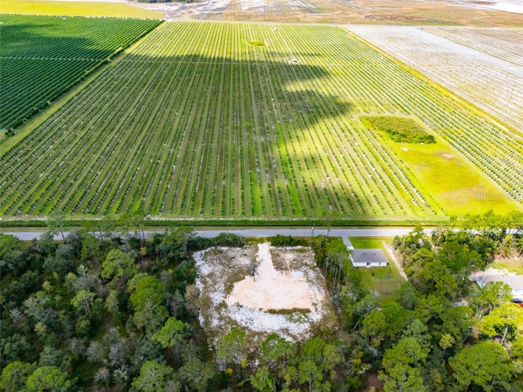 10340 Isaacson Avenue Hastings FL 32145 FC312963 image5