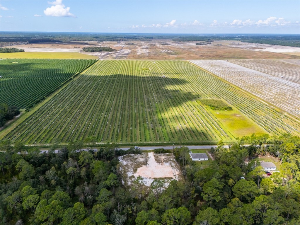 10340 Isaacson Avenue Hastings FL 32145 FC312963 image6