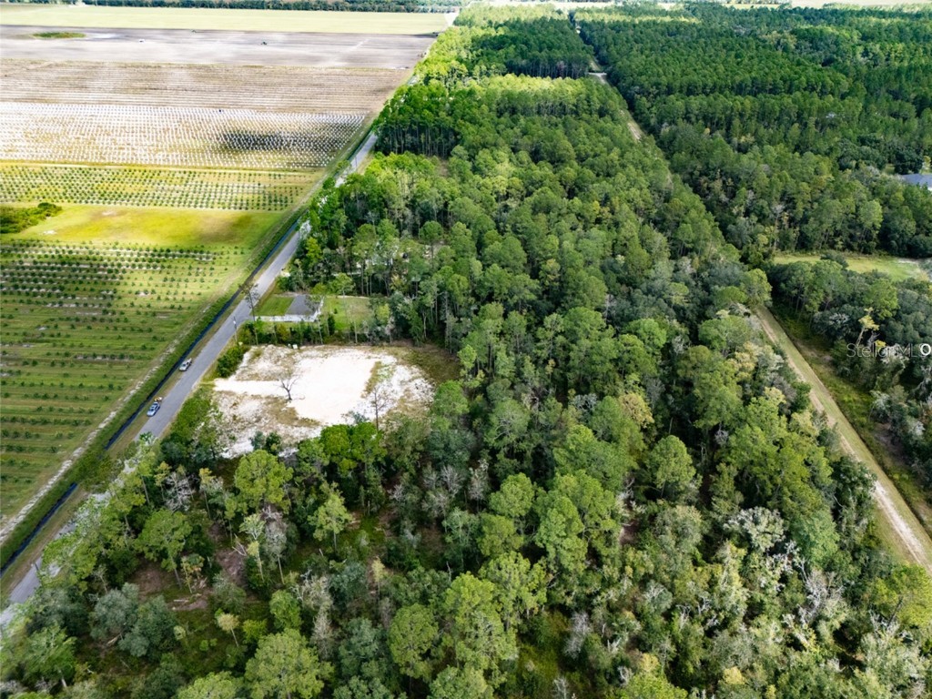 10340 Isaacson Avenue Hastings FL 32145 FC312963 image7