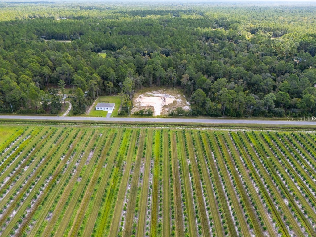 10340 Isaacson Avenue Hastings FL 32145 FC312963 image8