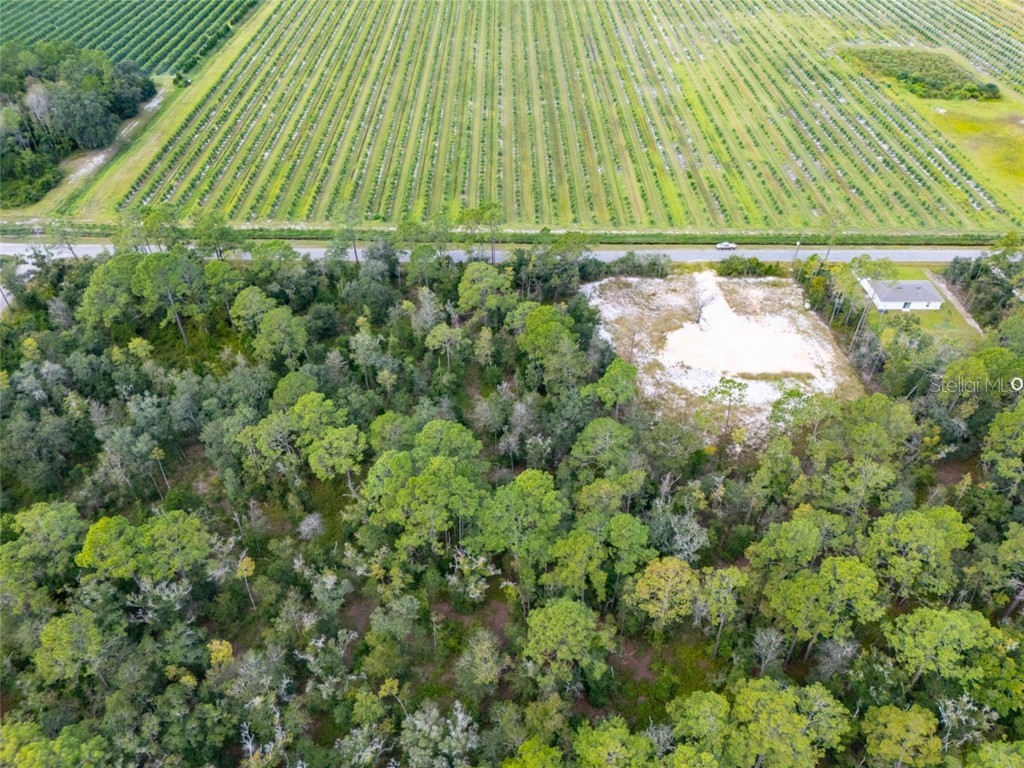 10340 Isaacson Avenue Hastings FL 32145 FC312963 image9