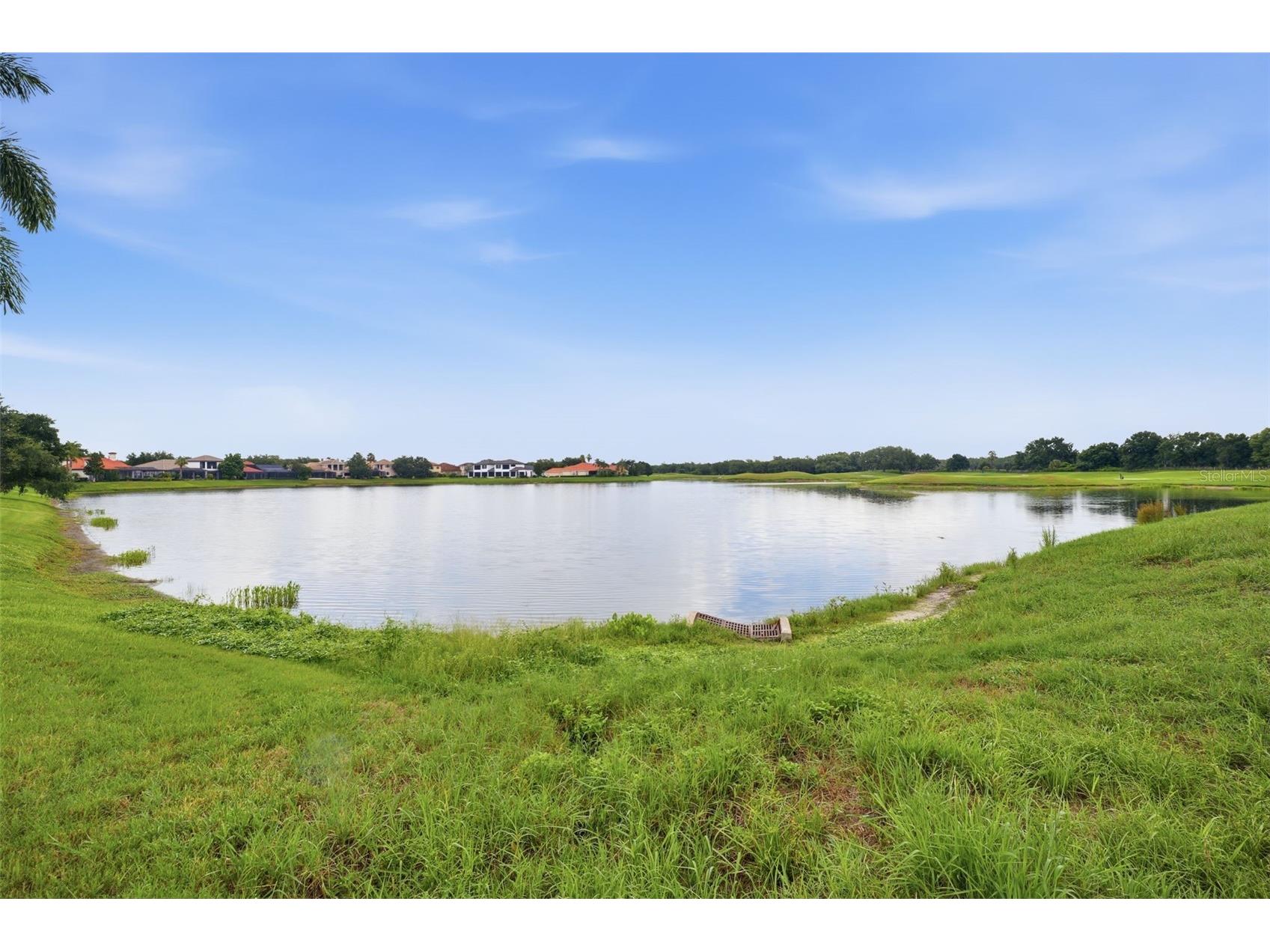 10341 Altrara Way Trinity FL 34655 TB8526755 image21