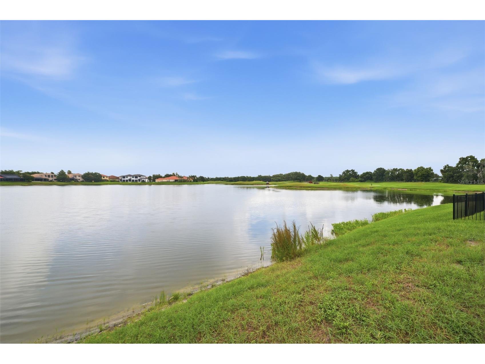 10341 Altrara Way Trinity FL 34655 TB8526755 image24