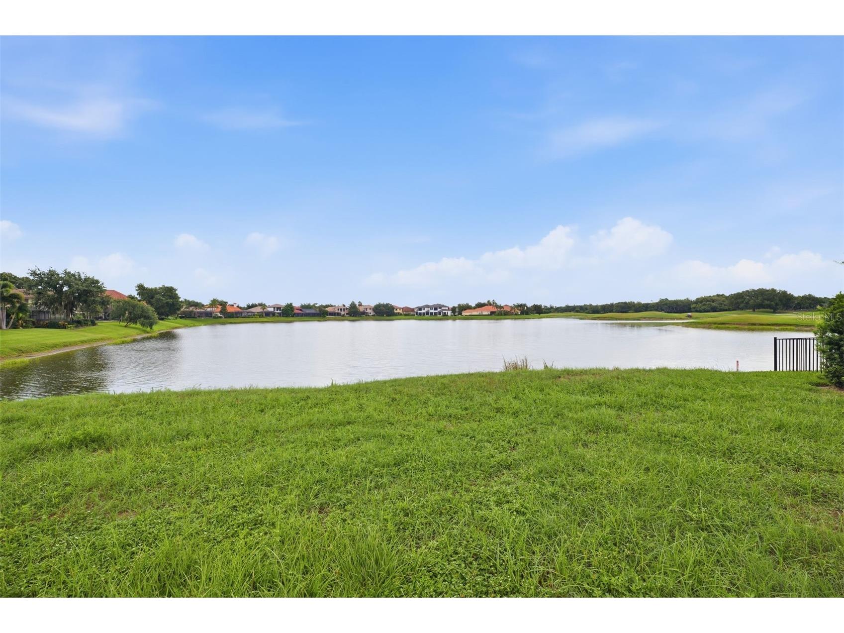 10341 Altrara Way Trinity FL 34655 TB8526755 image25