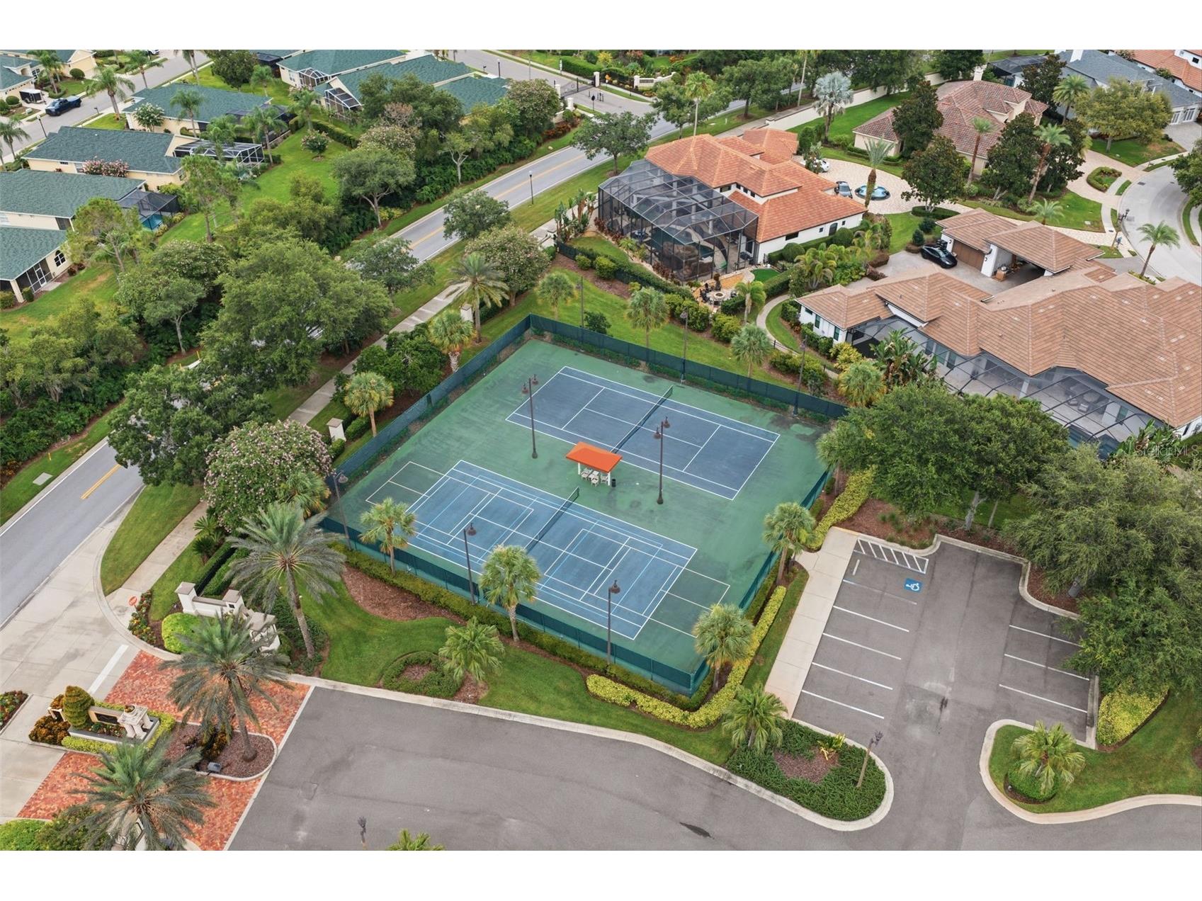10341 Altrara Way Trinity FL 34655 TB8526755 image4