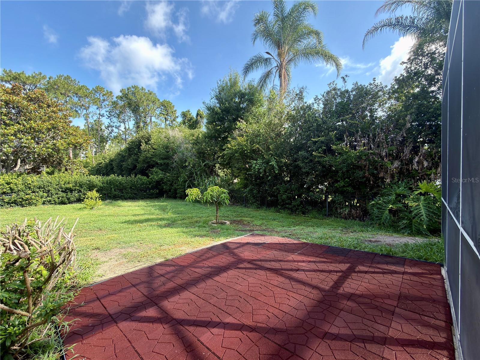 10341 Cypress Isle Court Orlando FL 32836 O6412943 image33