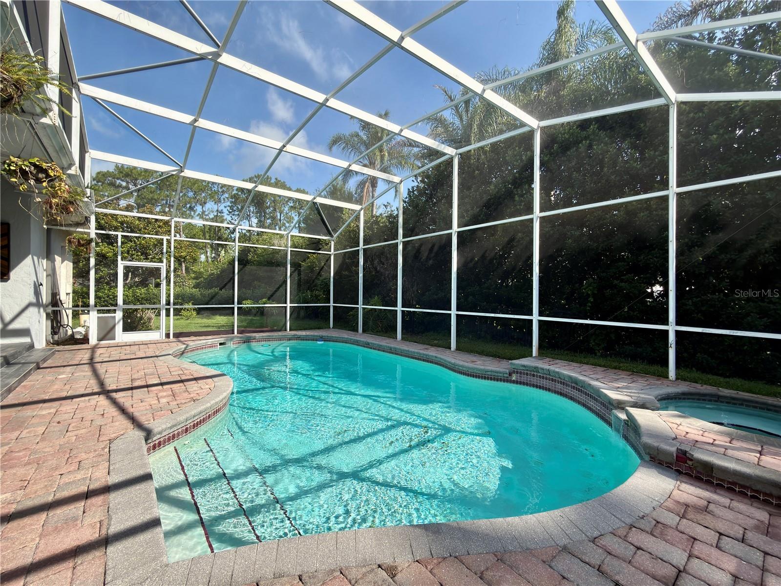 10341 Cypress Isle Court Orlando FL 32836 O6412943 image5