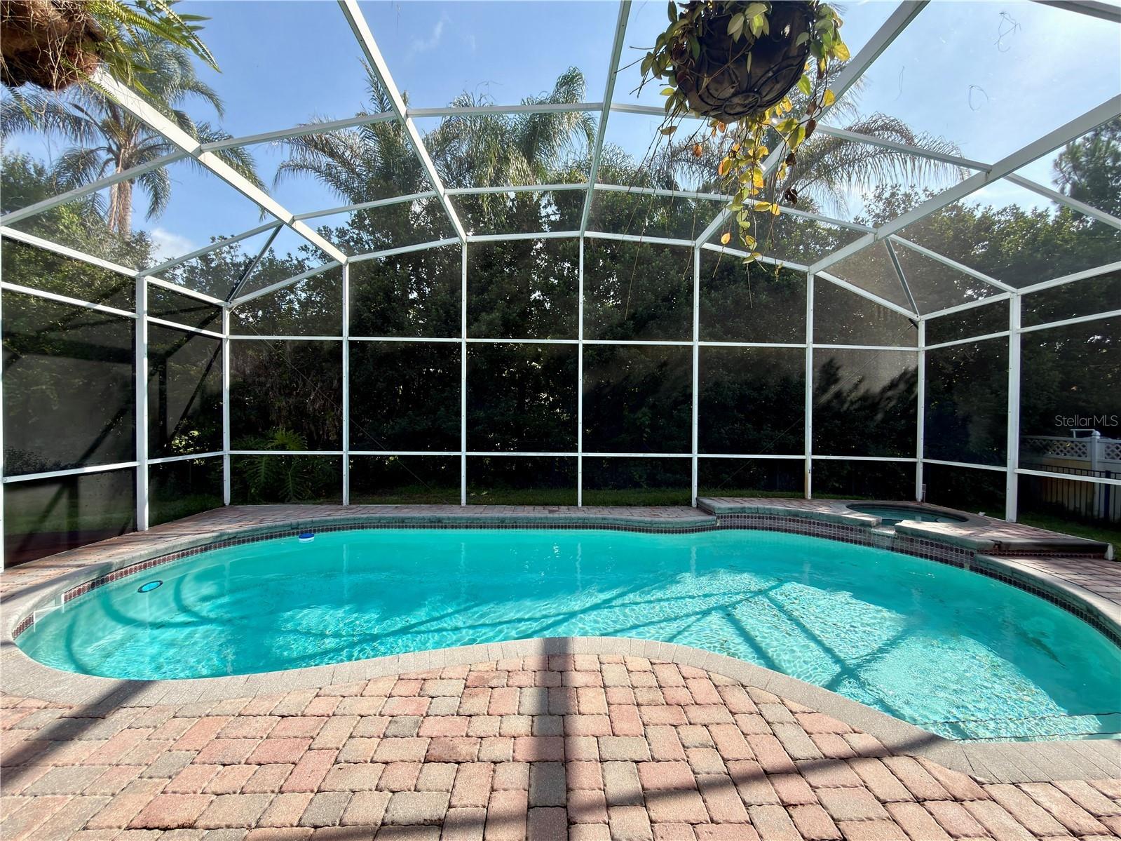 10341 Cypress Isle Court Orlando FL 32836 O6412943 image6