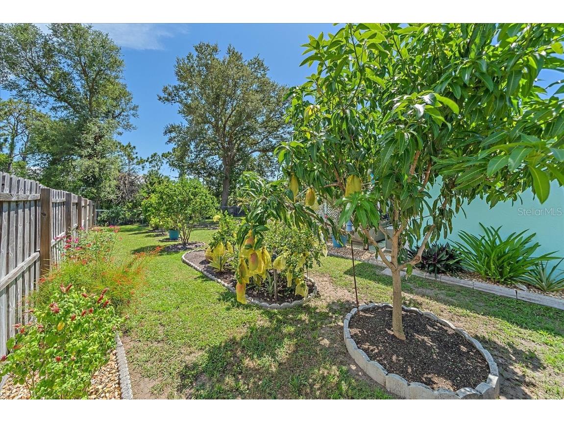 10341 Greenway Avenue Englewood FL 34224 - BUTTERFORD WATERWAY N6139639 image36