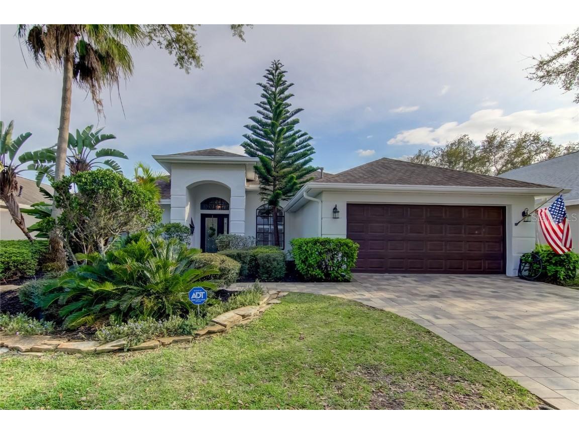 10342 Abbotsford Drive Tampa FL 33626 T3509277 image1