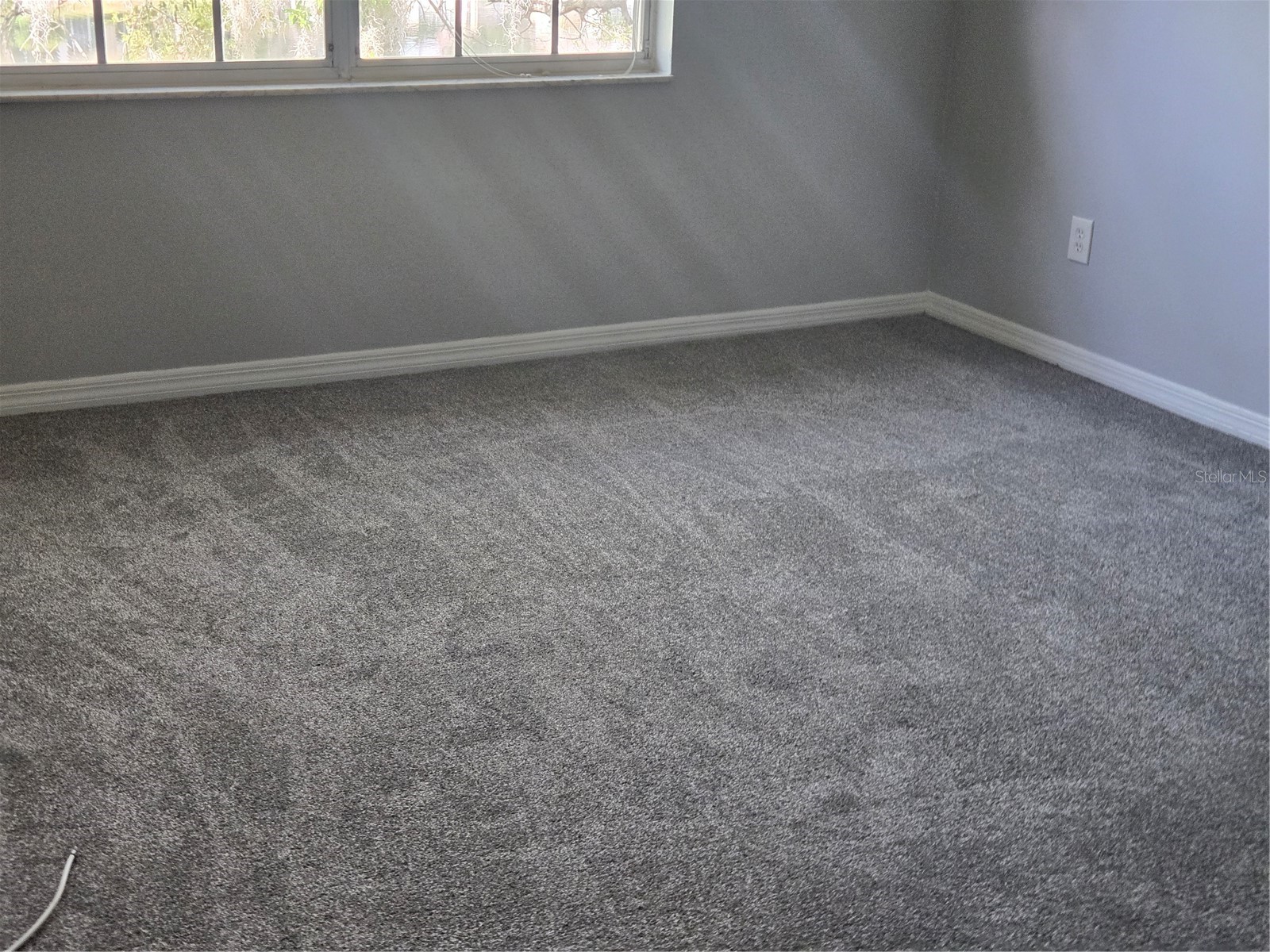 10342 Carrollwood Lane #168 Tampa FL 33618 TB8492115 image10